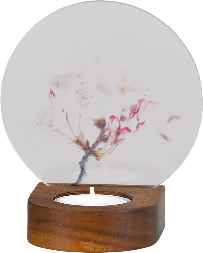 0870 Memori-Licht - Kirschblüte
