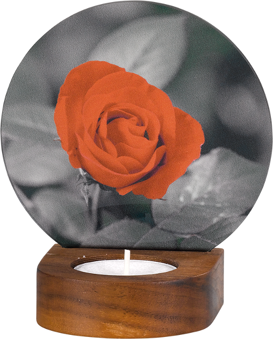 0868 Memori-Licht - Rose rot